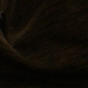 Meet your Posher, Max